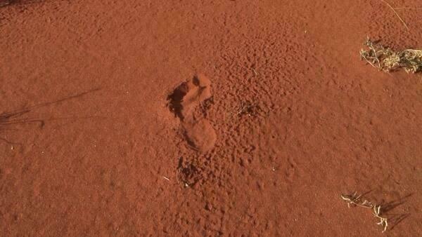 Foto von rotem Sand mit einem Fußabdruck.