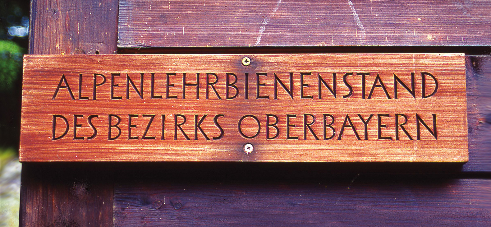 Aufschrift "Alpenlehrbienenstand des Bezirks Oberbayern"