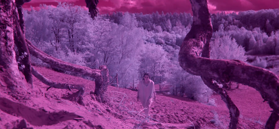 Digital_Fairy_Tales: Im Bild ist eine rosa und lilane Landschaft zu erkennen. Ein sandiger Hang mit Ästen ist im Vordergrund, im Hintergrund ist ein Wald zusehen. Eine Person läuft den Hang in Richtung Betrachter hoch.