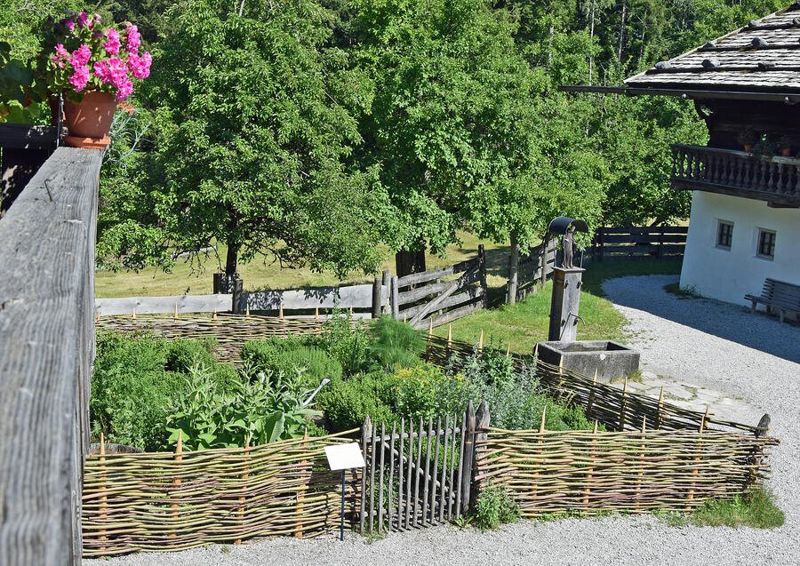 Ein grüner Kräutergarten mit einem Zaun aus Weidengeflecht.