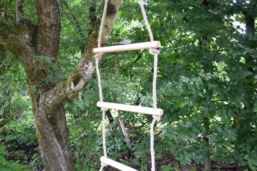 Eine Strickleiter hängt in einem Baum.