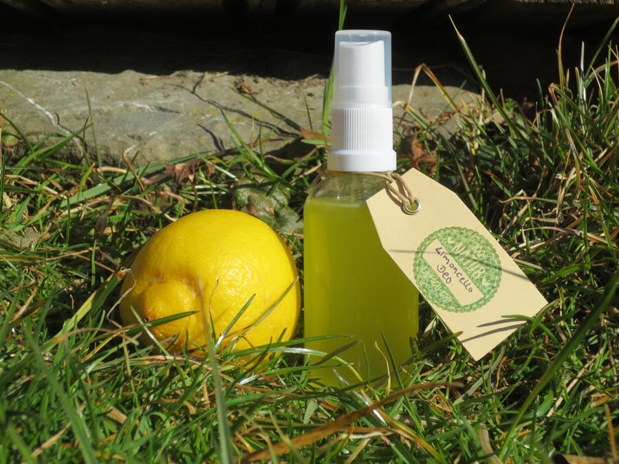 Auf Gras liegen eine Zitrone und ein Zerstäuber, in dem sich eine gelbe Flüssigkeit befindet.