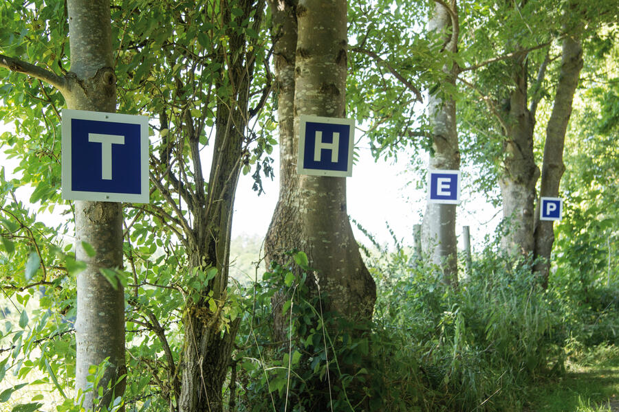 An den Bäumen einer Allee hängen einzelne blau-weiße Schilder mit den Buchstaben T, H und E.