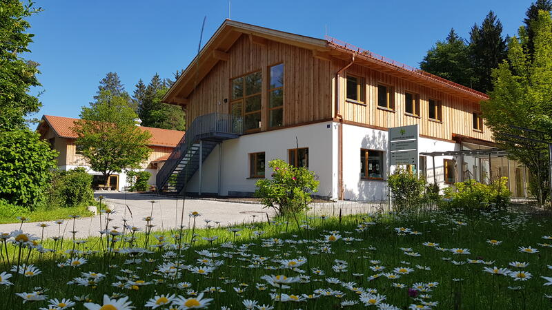 Zweistöckiges Haus mit Obergeschoss aus Holz. Im Bildvordergrund eine Wiese mit Gänseblümchen.