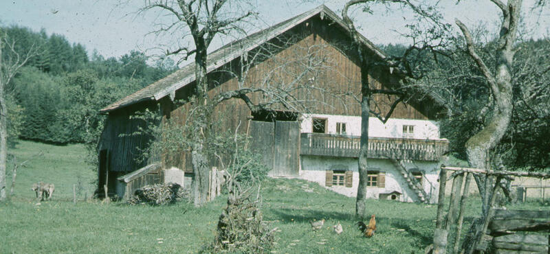 Historisches Foto in verblichenen Farben aus den fünfziger Jahren: Haus mit integrierter Holzscheune steht auf deiner Wiese. Im Hintergrund ist ein Wald zu sehen. Auf der Wiese befinden sich außerdem vereinzelte Hühner und eine Kuh. Auf der Wiese stehen auch vereinzelte Bäume.