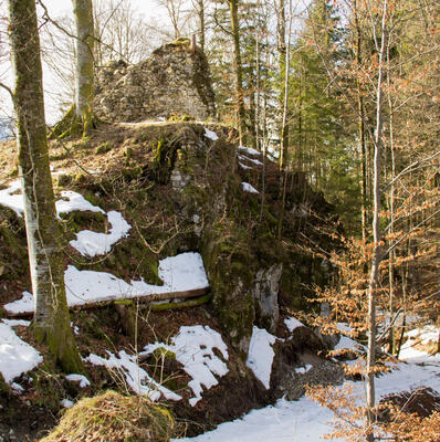 Reste des Turmruine im Wald mit Schneeresten auf dem Boden um die leichte Anhöhe