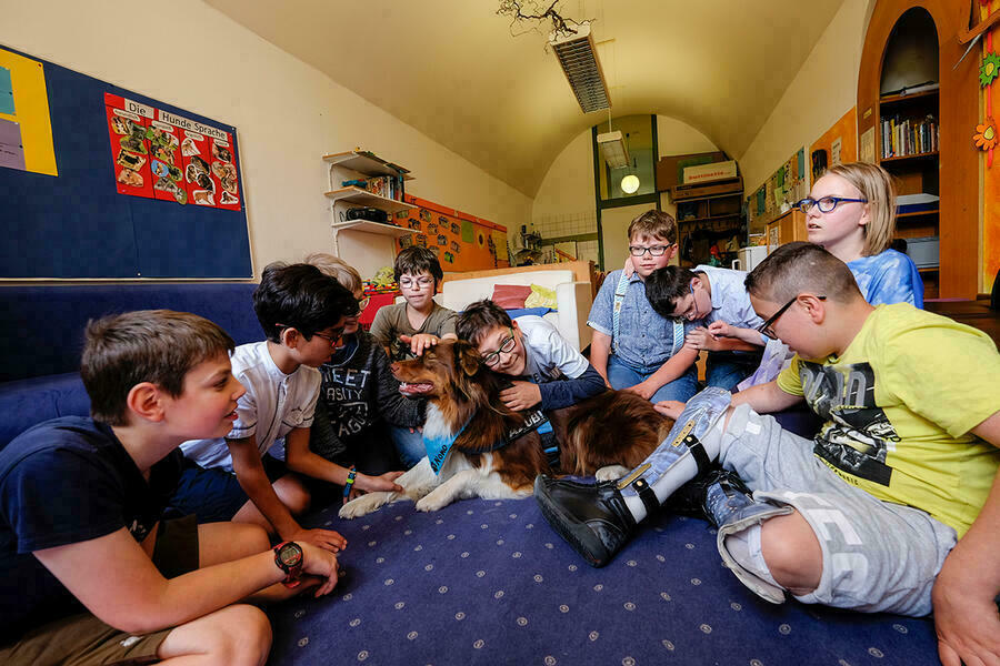 Kinder spielen bei einer Gruppenstunde in der Heilpädagogischen Tagesstätte der Kurz-Schule in Ingolstadt mit einem Therapiehund.