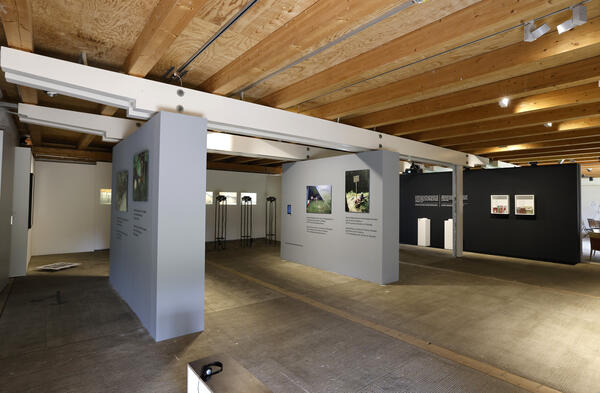 Blick in die Ausstellung: an mehreren Stellwänden sind Kunstwerke ausgestellt